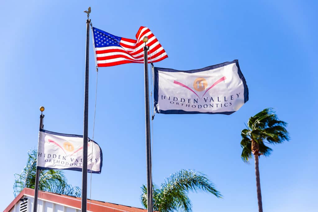 Two HVO flags with the American flag flying in front of a blue sky and palm trees.